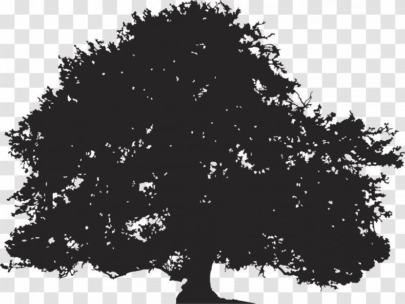 Oak Silhouette Tree Illustration Transparent PNG
