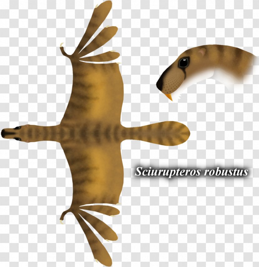 Carnivores Artist Pterosaurs DeviantArt - Art - Pterosaur Transparent PNG