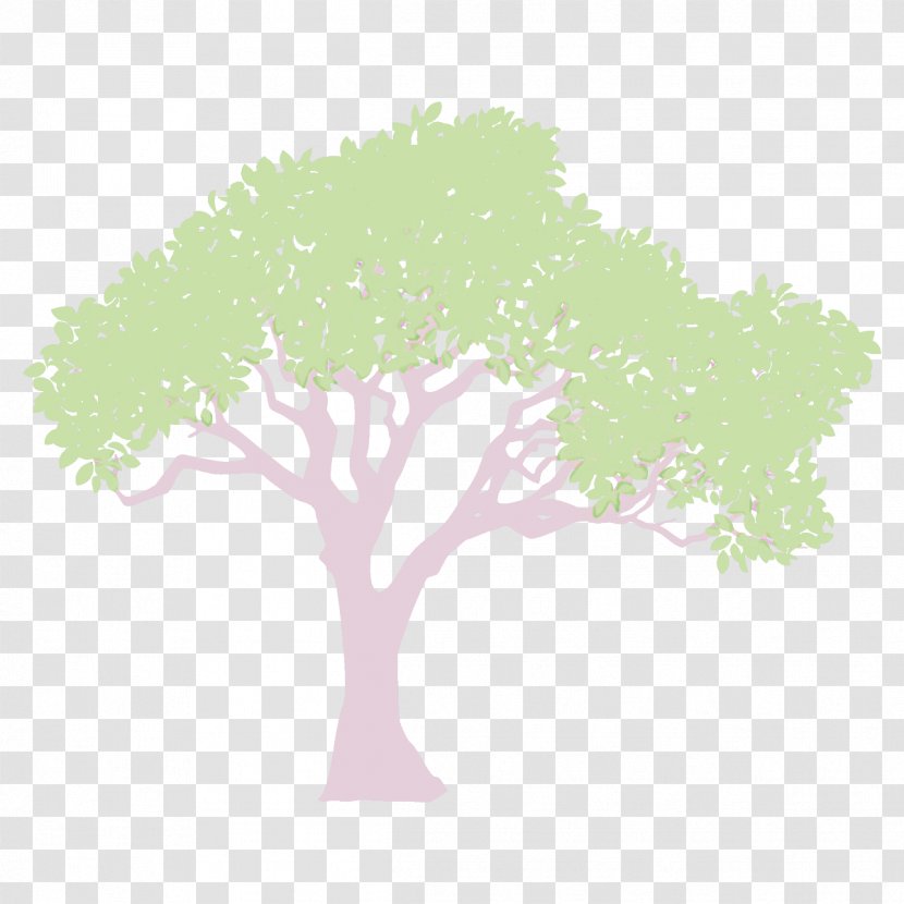 Arbor Day - Woody Plant - Grass Transparent PNG
