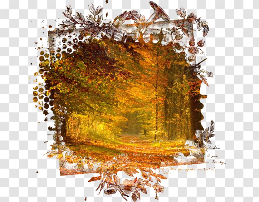 Autumn Digital Image Desktop Wallpaper - Stock Photography Transparent PNG