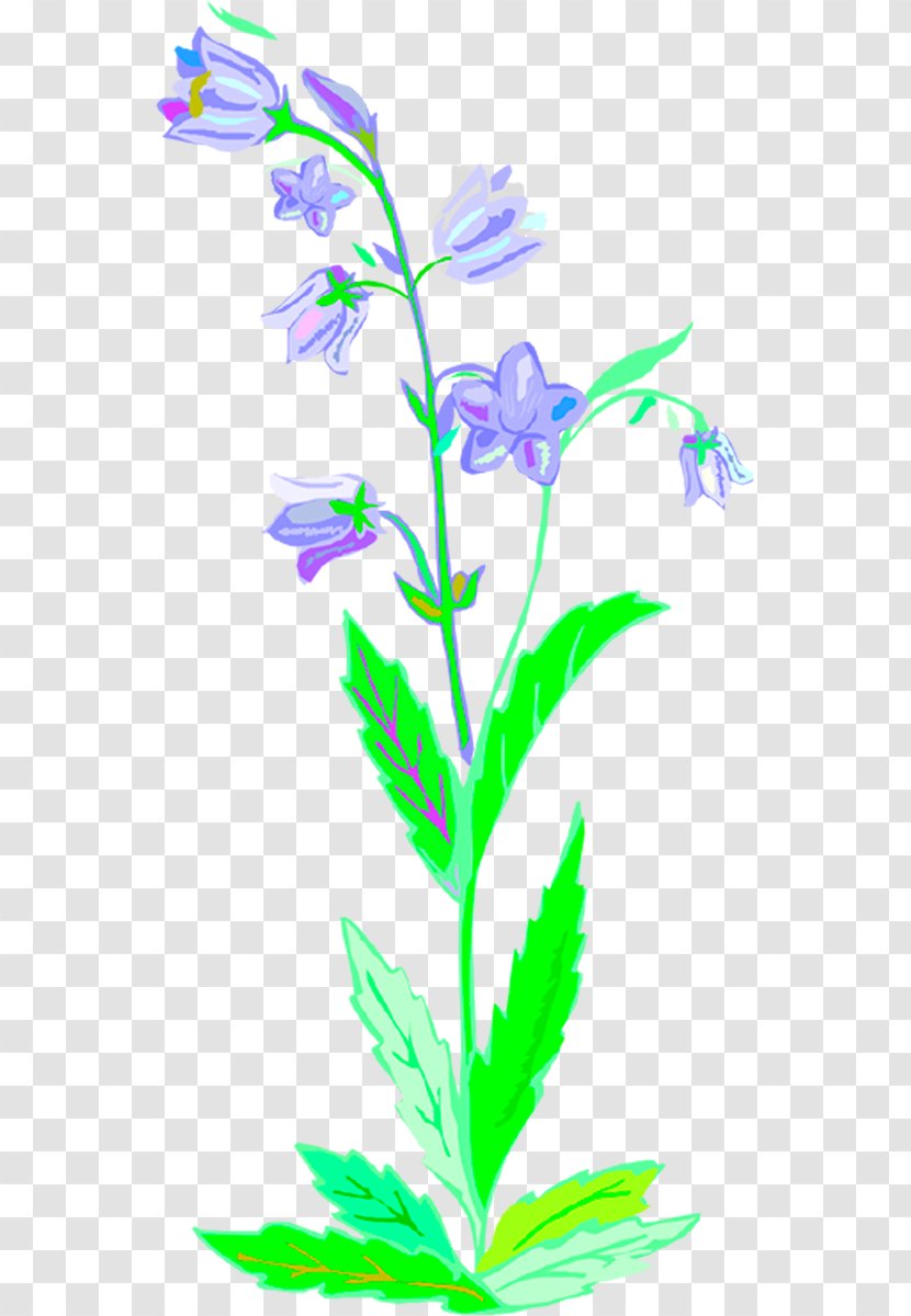 Plant Stem Leaf Lilac Flowering Clip Art Transparent PNG