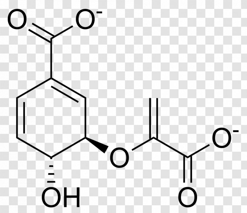 Methyl Group Methylparaben 4-Hydroxybenzoic Acid Methoxy - Cas Registry Number - Chorismic Transparent PNG