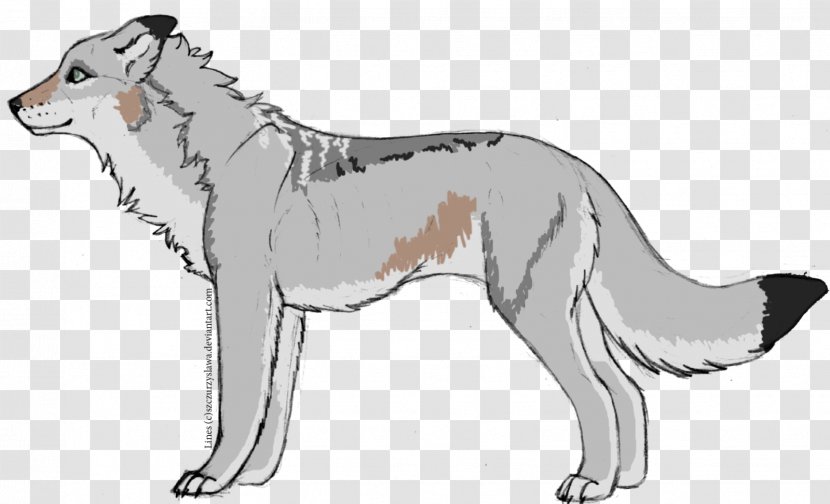 Dog Breed Red Fox Cat Line Art Transparent PNG