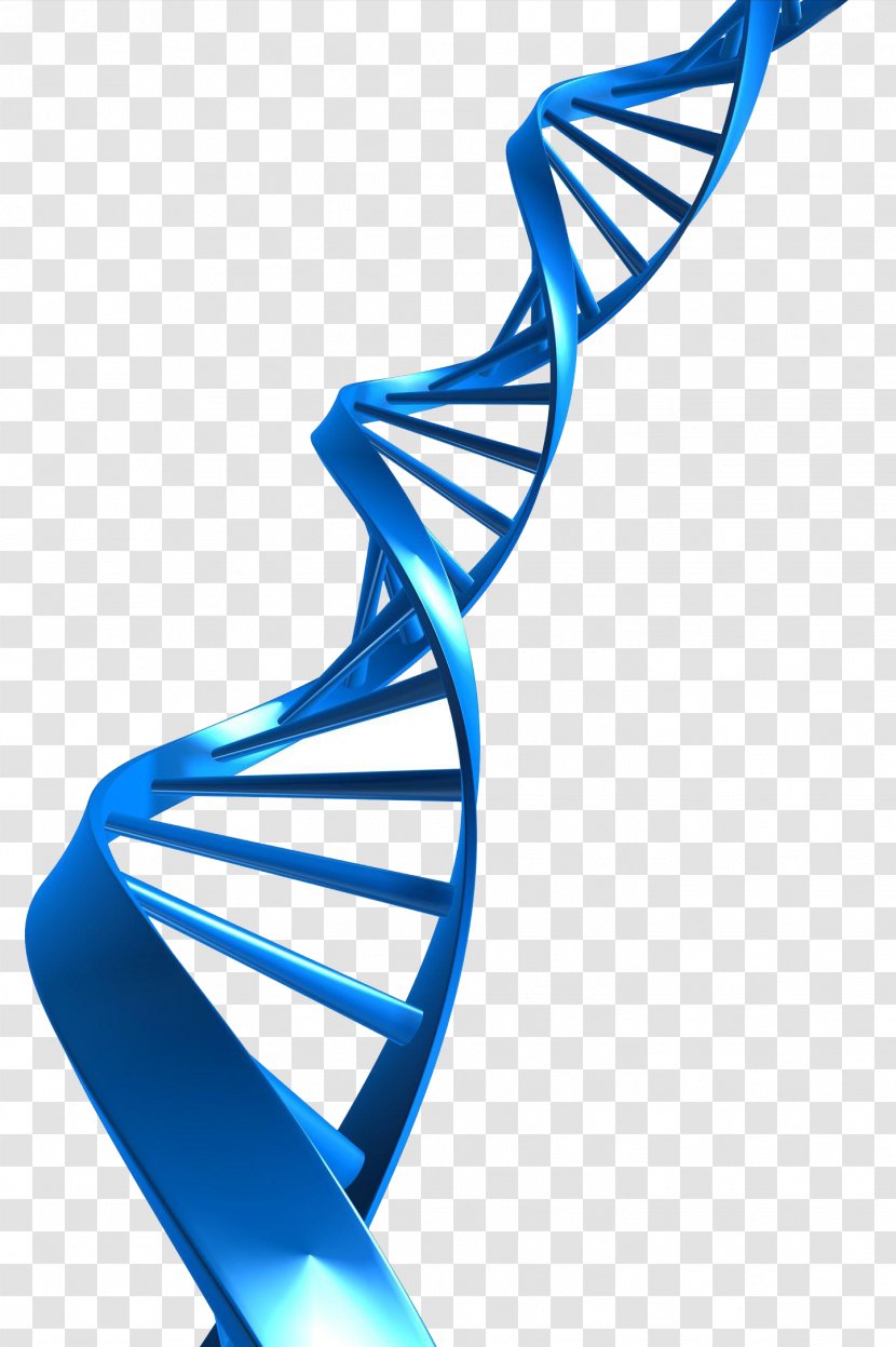 DNA Profiling Nucleic Acid Double Helix Clip Art - Dna Extraction - Vector Transparent PNG