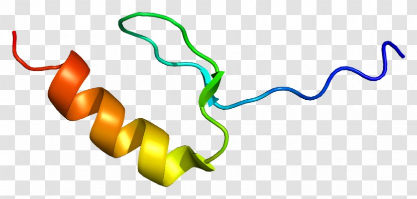 MYST3 Senescence Gene Histone Acetyltransferase - Organism - Crebbinding Protein Transparent PNG
