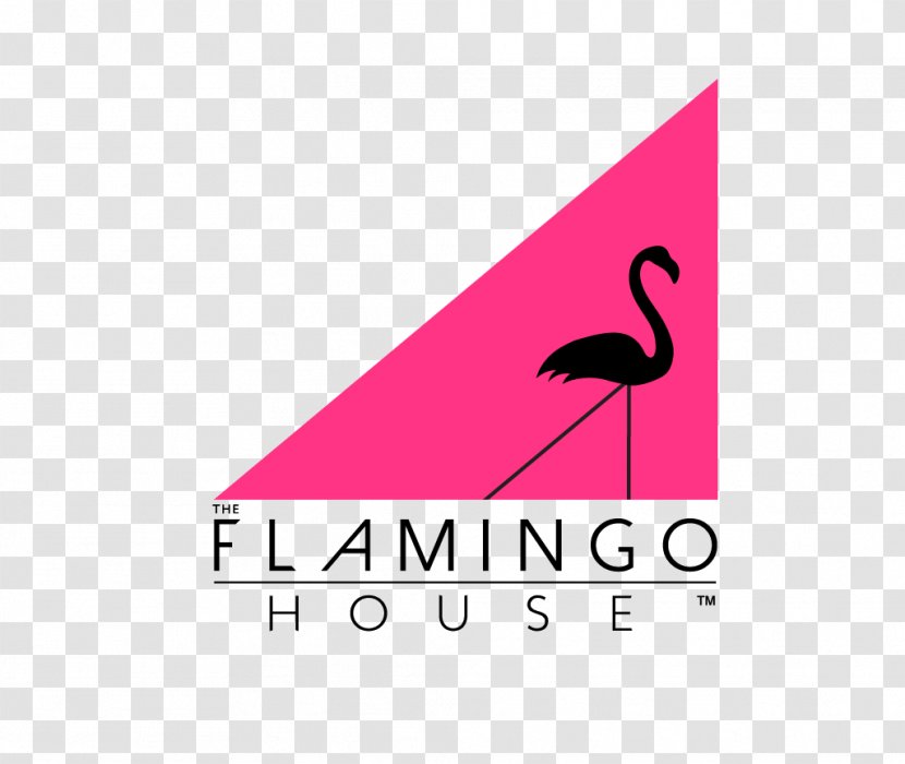 Logo Bird Brand Font Beak - Pink Transparent PNG