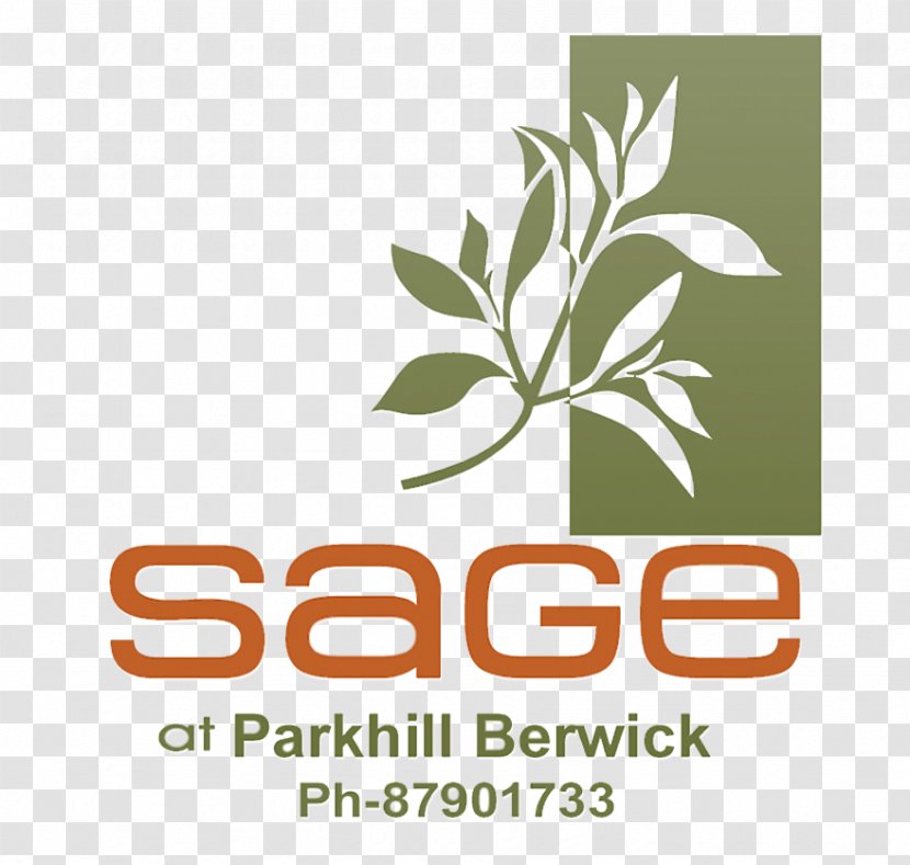 Logo Font Brand Product Leaf - Fired Rice Transparent PNG