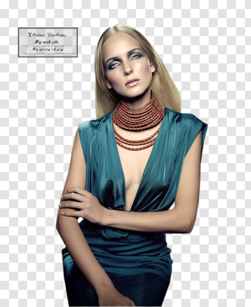 Fashion Model Photo Shoot Outerwear Transparent PNG