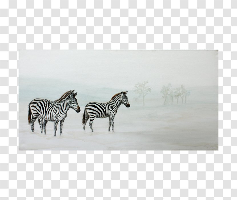 Quagga Savanna Pope Mane Zebra - Horse Like Mammal - Plains Transparent PNG