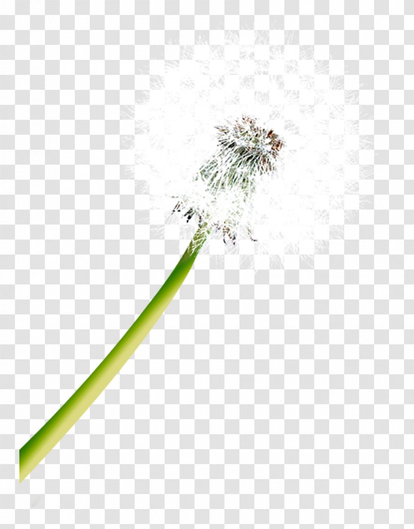 Dandelion Flower Lock Icon Transparent PNG