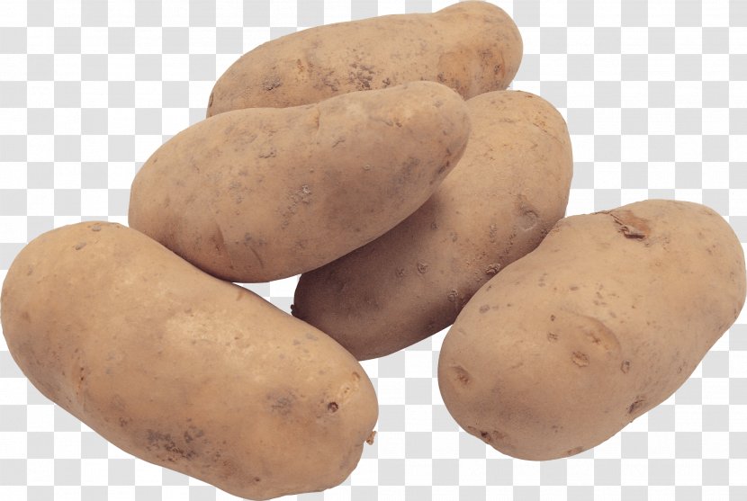 Knish Russet Burbank - Root Vegetables - Potato Images Transparent PNG