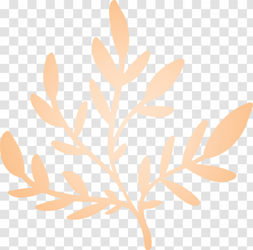 Orange Transparent PNG