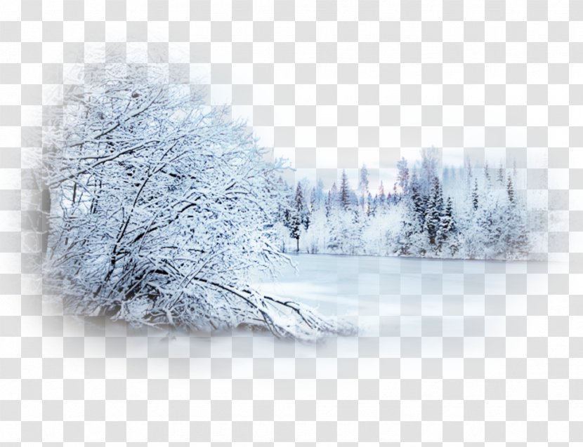 Snow Winter Blizzard Desktop Wallpaper Landscape - Centerblog Transparent PNG