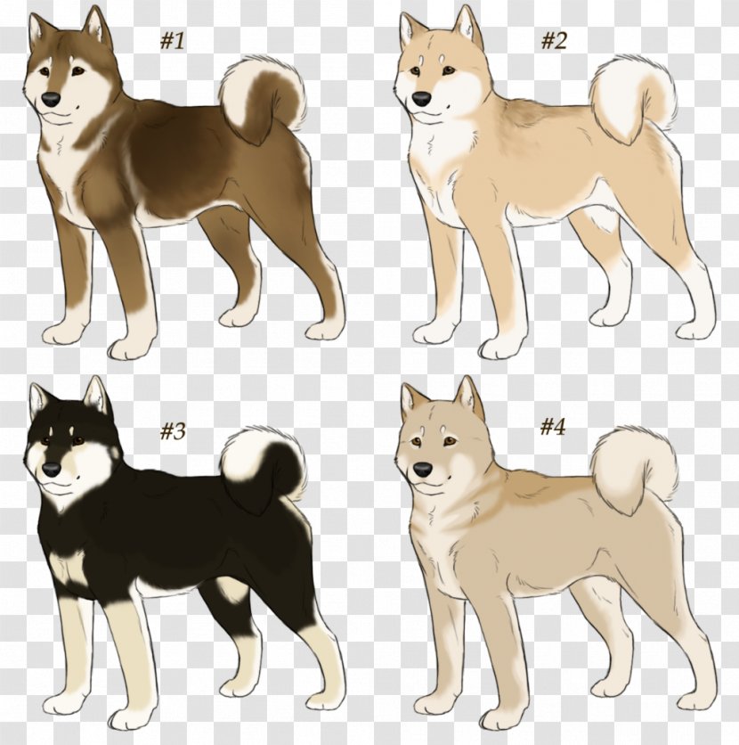 Shiba Inu Shikoku Dog Canaan Finnish Spitz Norwegian Lundehund - Fawn Vector Transparent PNG