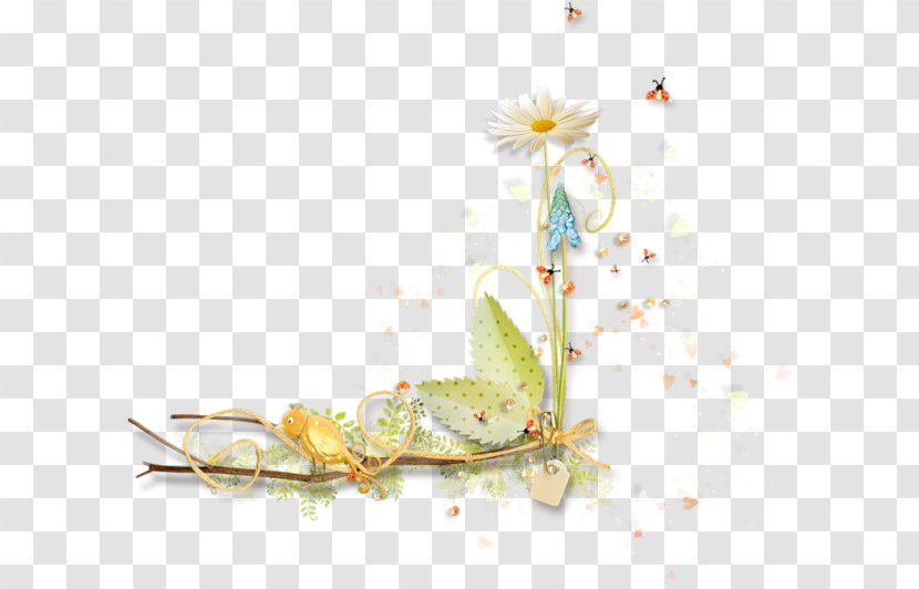GIF 1,2,3,4,5,6,7,8,9,10,11,12,13,14,15,16,17,18,19,20,21,22,23,24 Desktop Wallpaper Still Life Photography - Floral Design - Camomile Transparent PNG