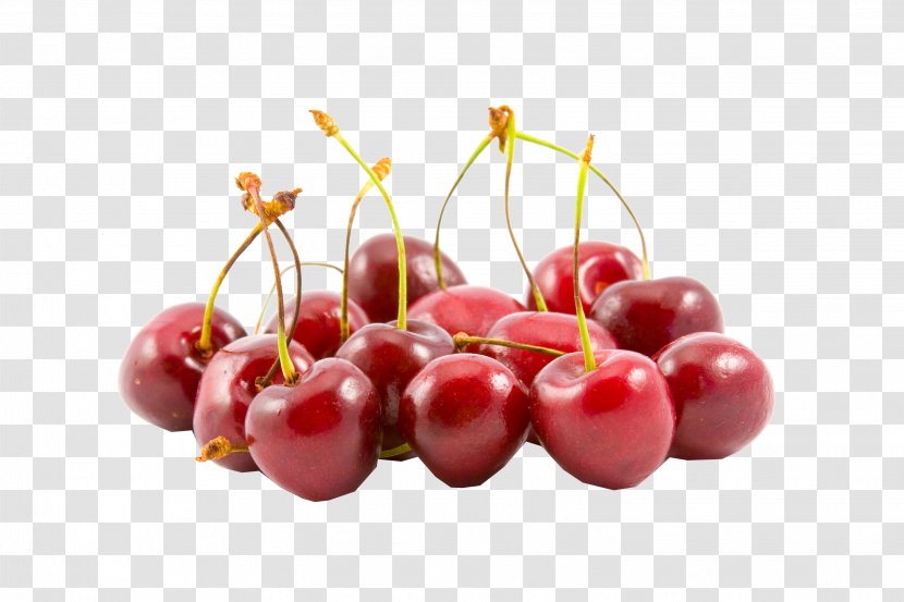 Sour Cherry Fruit Berry Sweet Transparent PNG