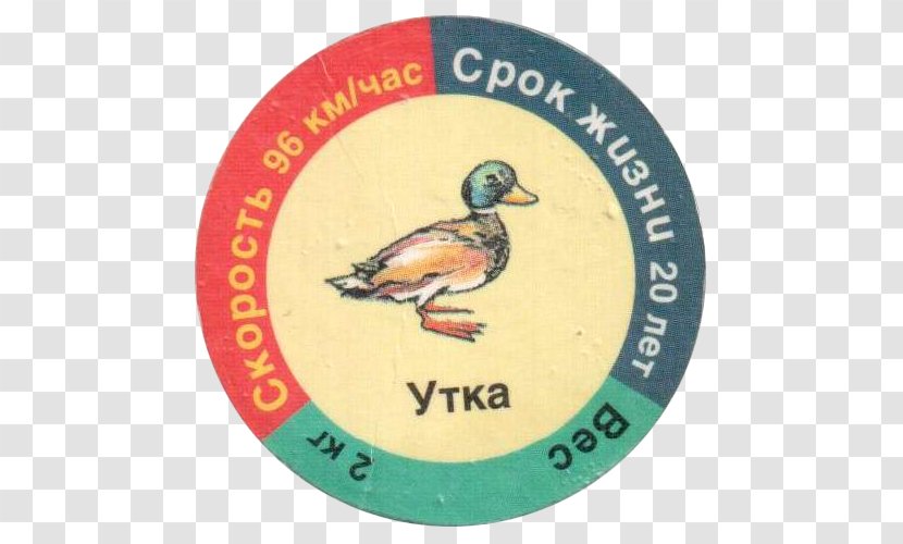 0 March 28 December January 1 - Duck - Lobo Rusia Transparent PNG