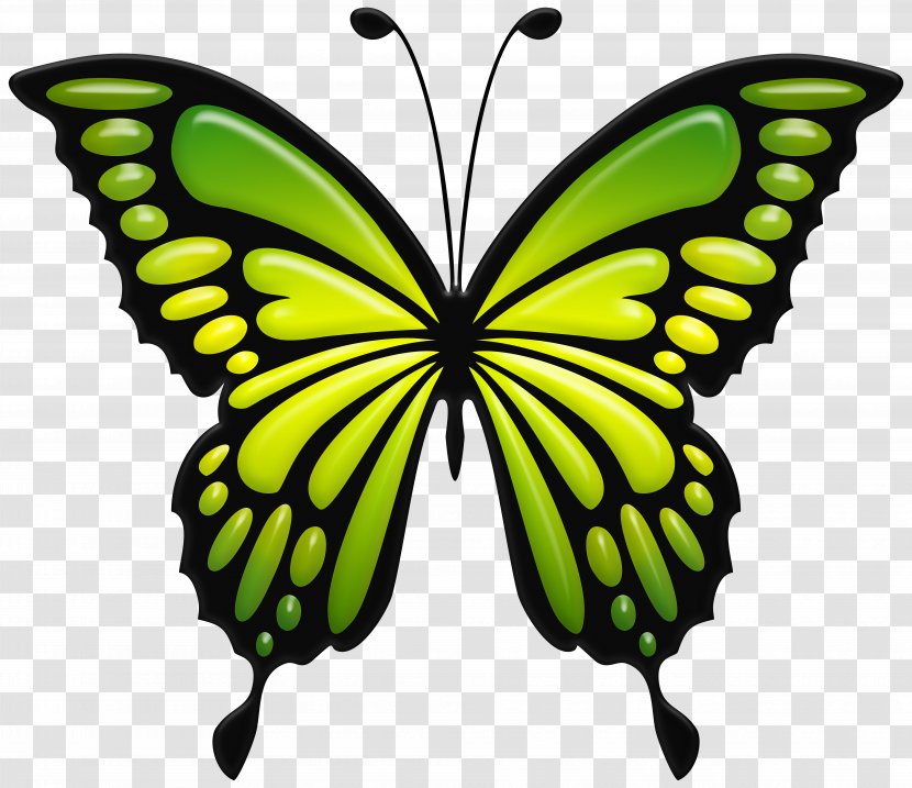 Clip Art Monarch Butterfly Openclipart Image - Wing - Bitterflies Banner Transparent PNG