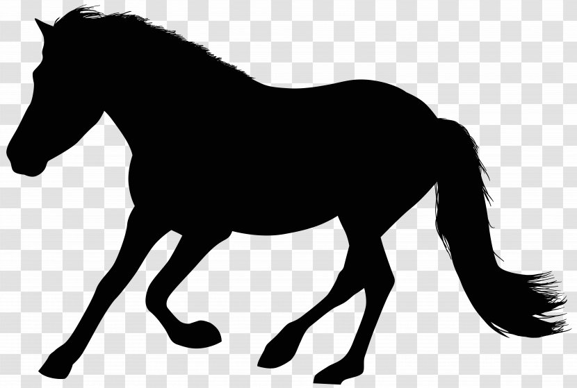 Mane Mustang Stallion Foal Clip Art - Colt Transparent PNG