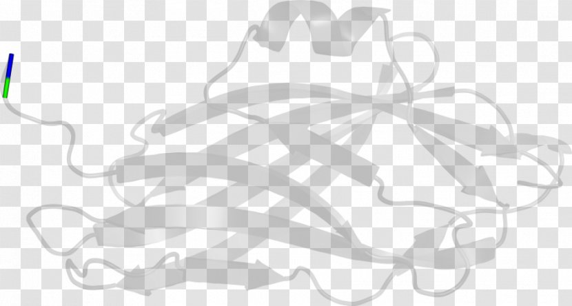 Drawing White Line Art Clip - Branch - Design Transparent PNG