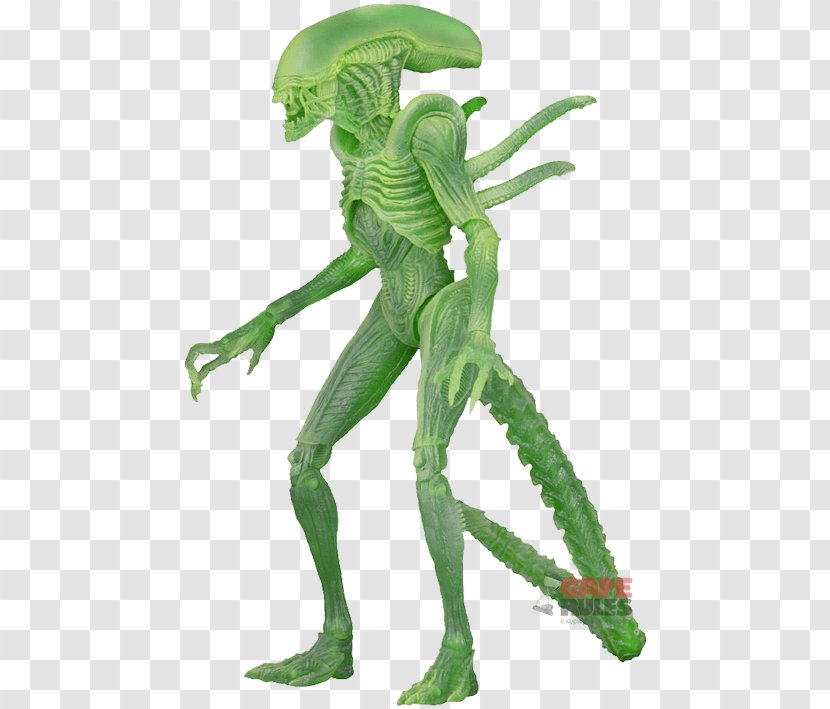 Alien Vs. Predator Action & Toy Figures National Entertainment Collectibles Association - Figurine - Predators Vs Transparent PNG