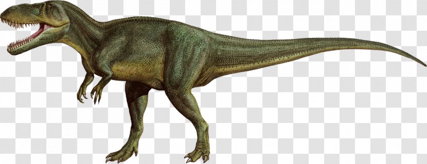 Torvosaurus Allosaurus Pentaceratops Dinosaur Late Jurassic - Velociraptor Transparent PNG