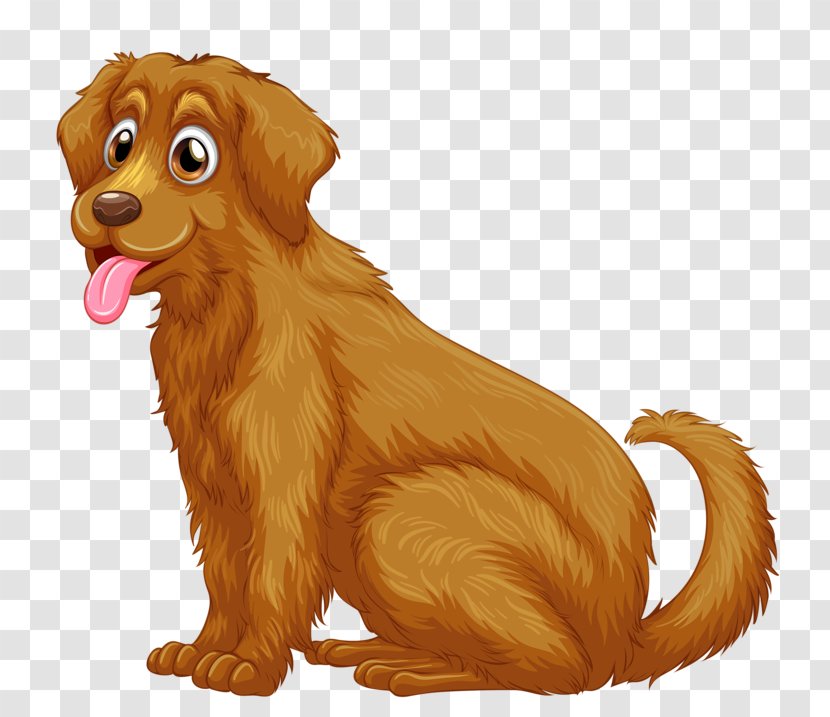Golden Retriever Labrador Puppy - Snout - Dog Transparent PNG