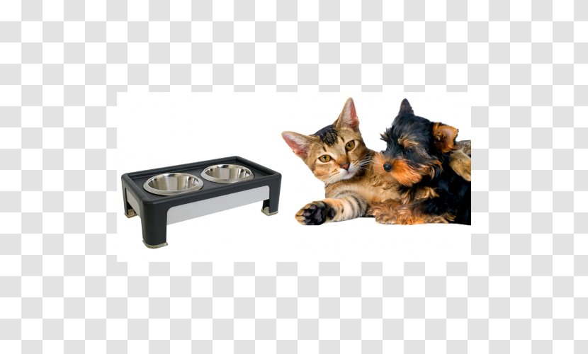 Whiskers Cat Dog Pet Shop - Grooming Transparent PNG