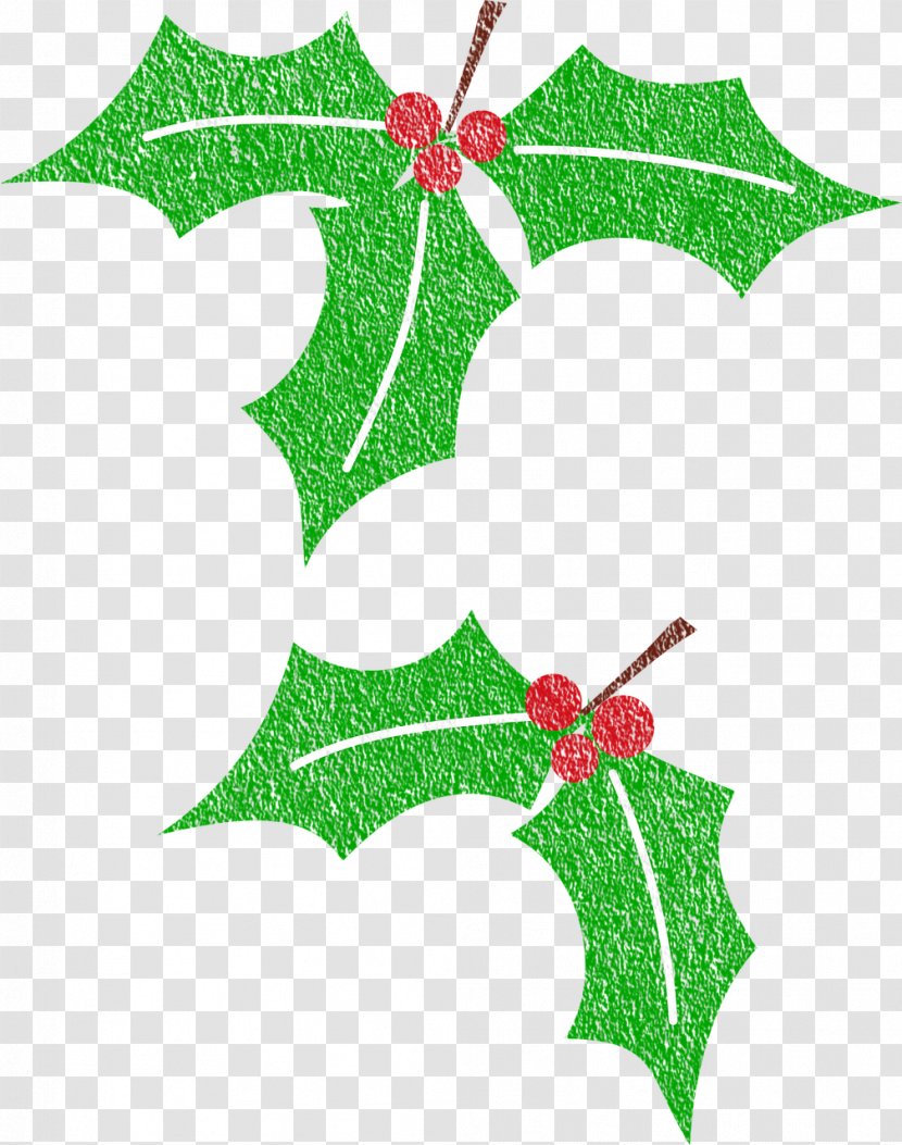 Christmas Common Holly Clip Art Transparent PNG
