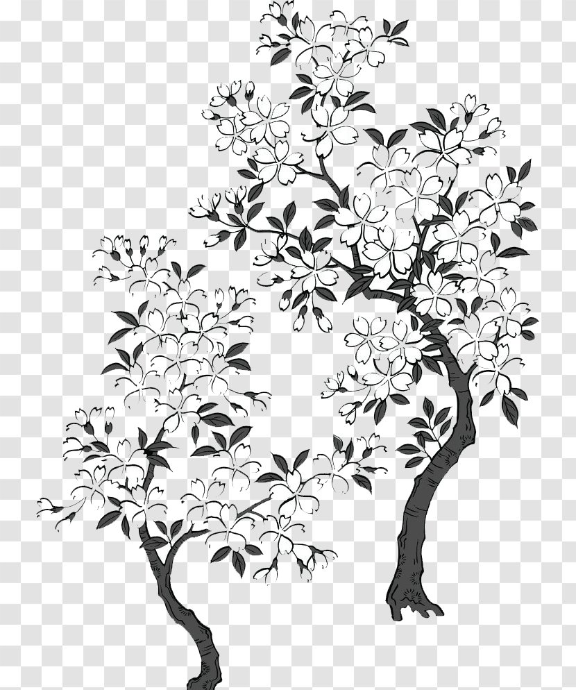 Black And White Designer - Leaf - Cherry Blossom Petals Transparent PNG