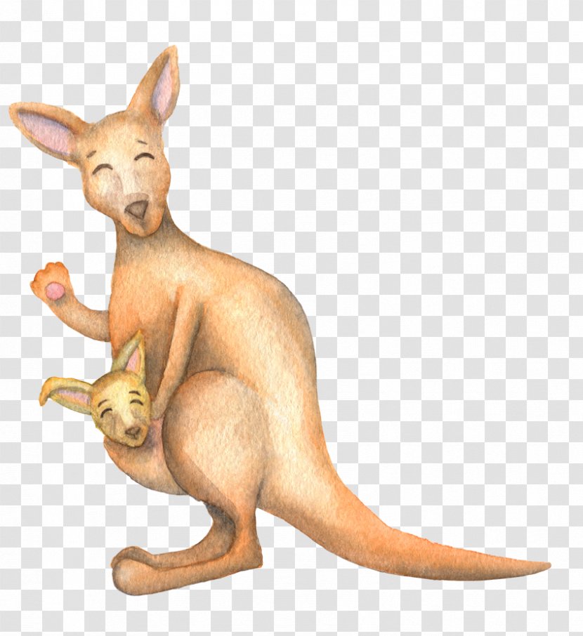 Koala Kangaroo Cartoon - Macropodidae - Fresh Sen Department Watercolor Cute Kangaroos Transparent PNG