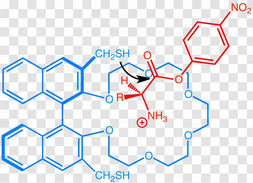 Supramolecular Catalysis Chemistry Crown Ether Organic - Cram Transparent PNG
