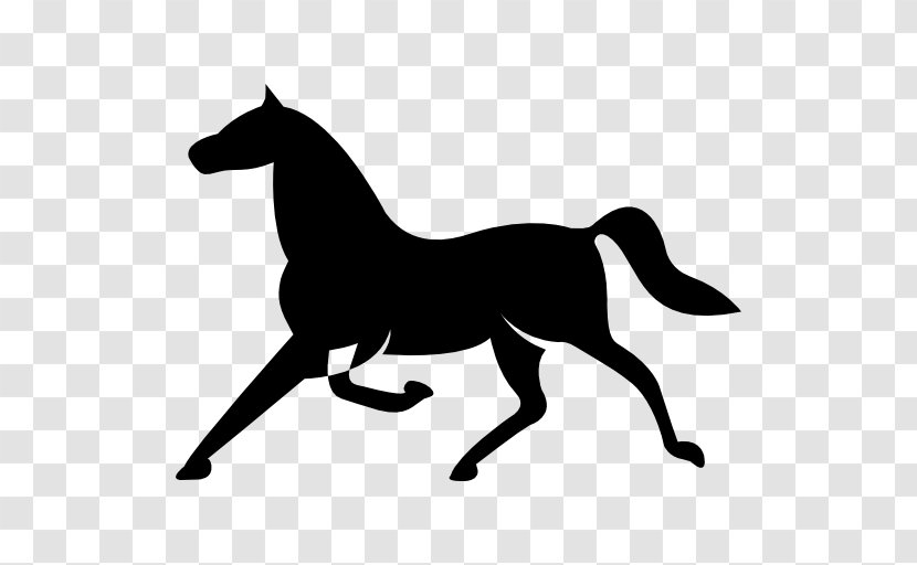 Trot Arabian Horse Equestrian Jockey - Pony - Run Transparent PNG