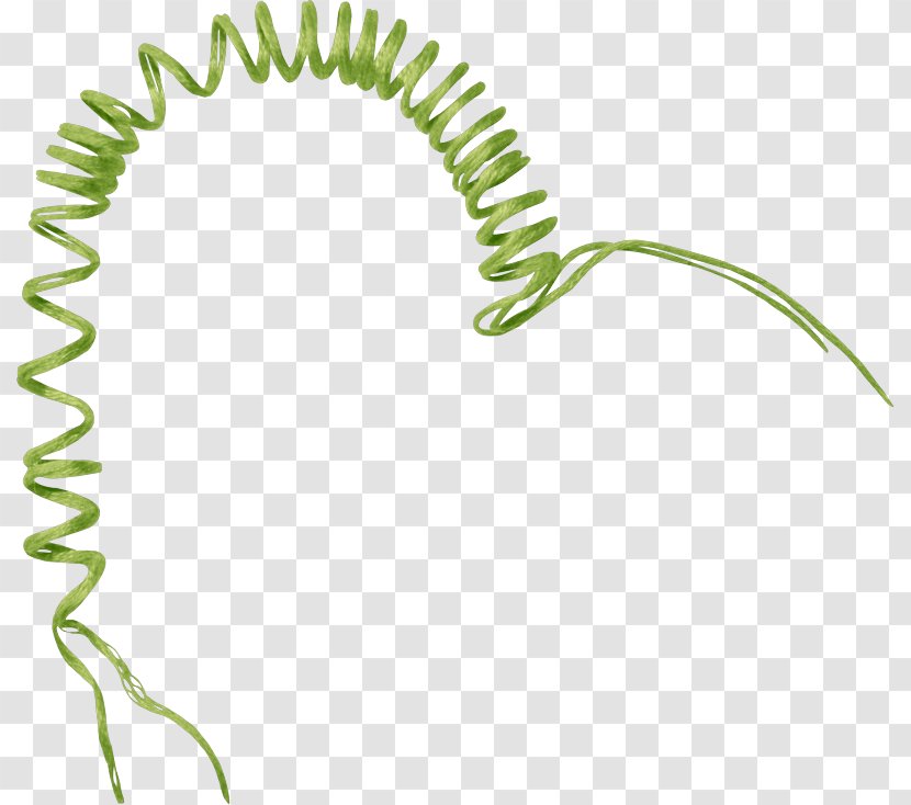 Electrical Cable Clip Art - Plant Stem Transparent PNG