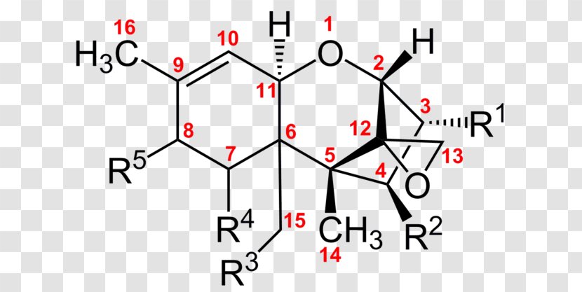 Trichothecene T-2 Mycotoxin Diacetoxyscirpenol Mold - Chemistry - Parallel Transparent PNG