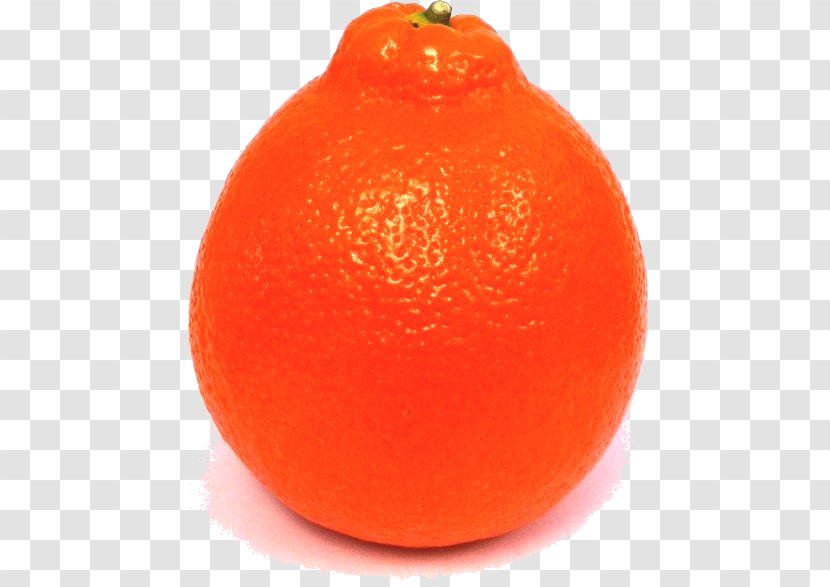 Clementine Mandarin Orange Tangerine Blood Tangelo - Bitter - Grapefruit Transparent PNG