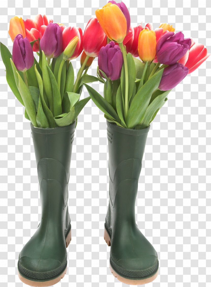 Slipper Galoshes Wellington Boot Footwear - Flowering Plant Transparent PNG