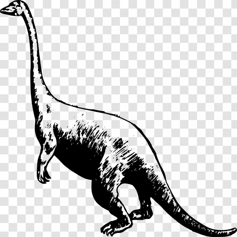 Tyrannosaurus Velociraptor Apatosaurus Triceratops Dinosaur Park - Fauna Transparent PNG