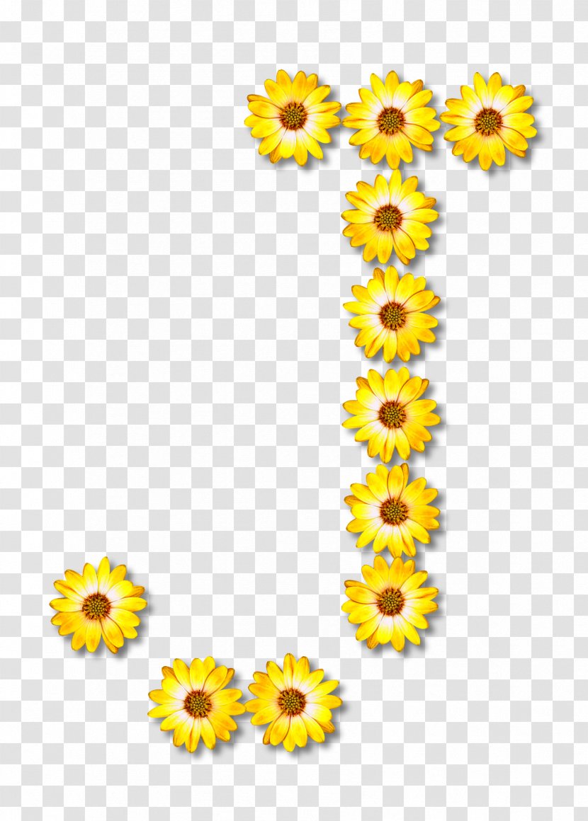 Common Sunflower Clip Art - Petal - Zipper Transparent PNG