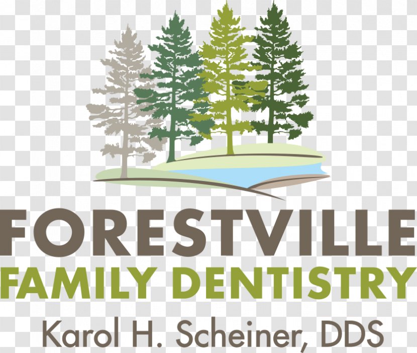 Forestville Spruce Logo Dentistry - Library - Pine Family Transparent PNG