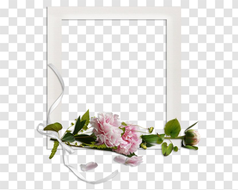 Picture Frames Birthday .de Animaatio Internet - Flower Transparent PNG
