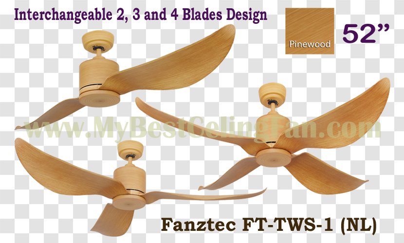 Ceiling Fans - Fan - Design Transparent PNG