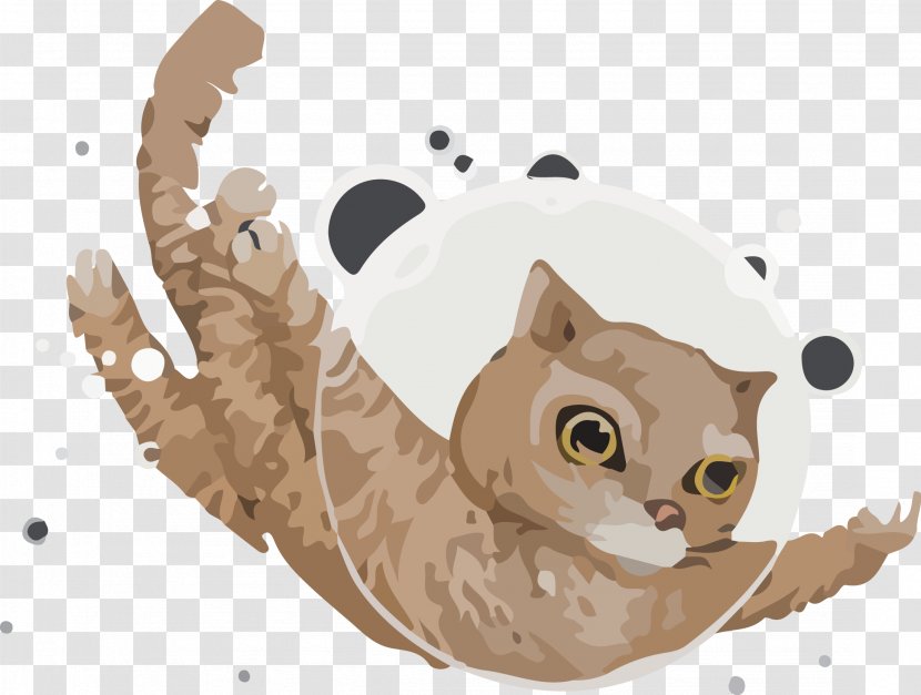 Kitten Cat Euclidean Vector Whiskers - Illustration - Star Transparent PNG