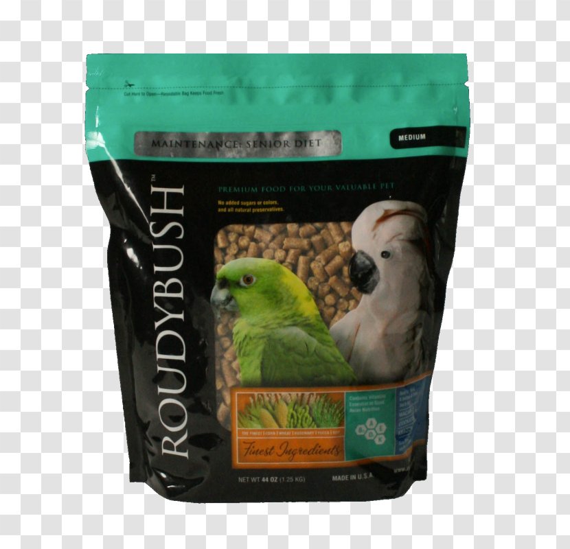 Bird Food Parrot Dieting - Macaw Transparent PNG