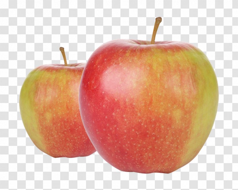 Apple Jonagold Fuji Golden Delicious Elstar Transparent PNG