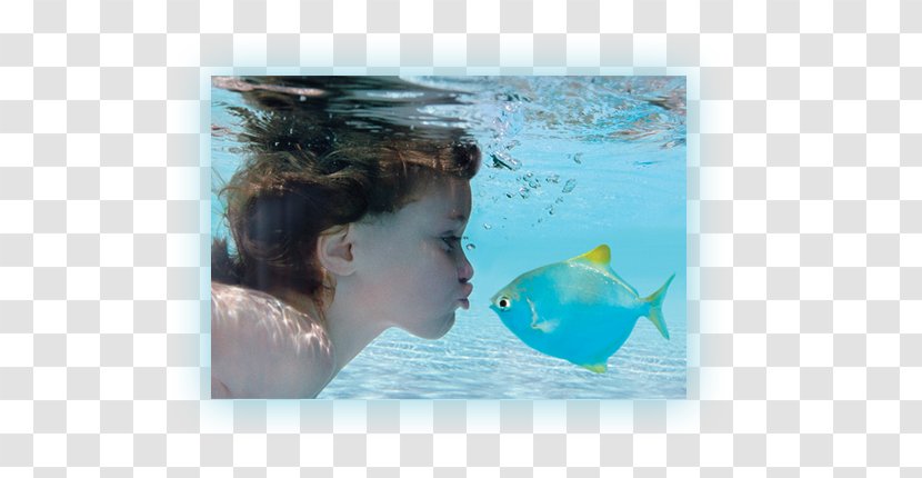 Child Piscina Bioclimática Underwater Photography - Digital Cameras - SWIMMING POOL WATER Transparent PNG