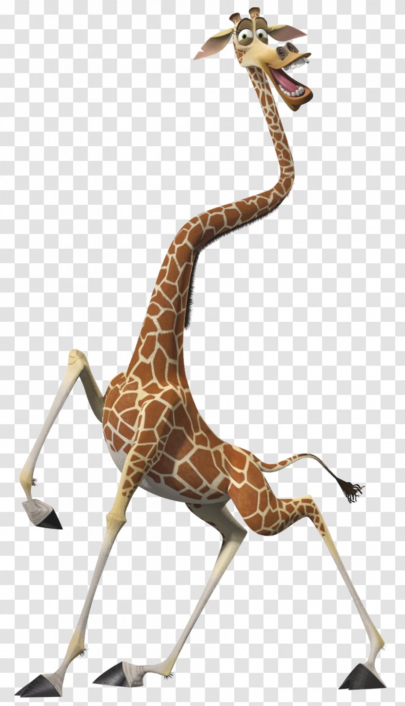 Alex Melman Madagascar Film Character - Giraffe Transparent PNG