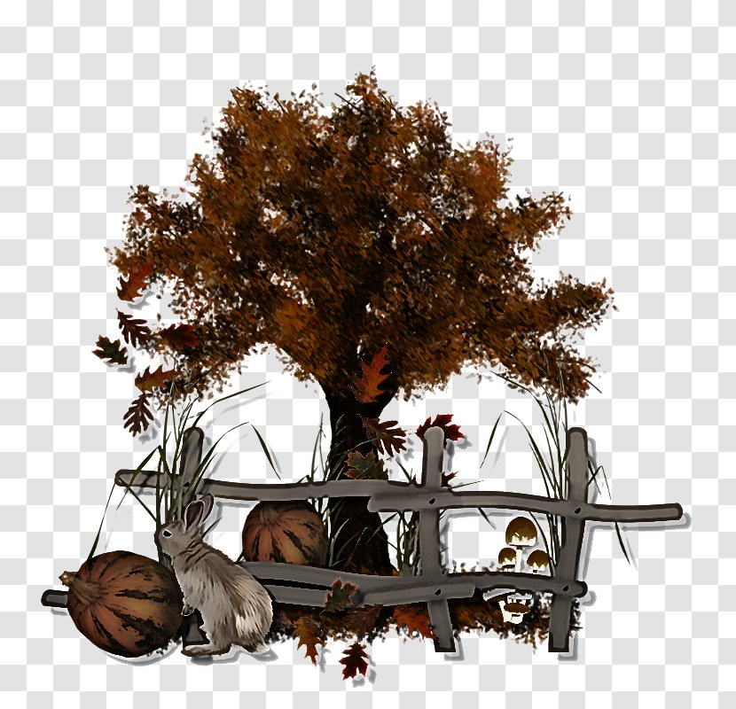 Tree Woody Plant Branch Furniture Transparent PNG