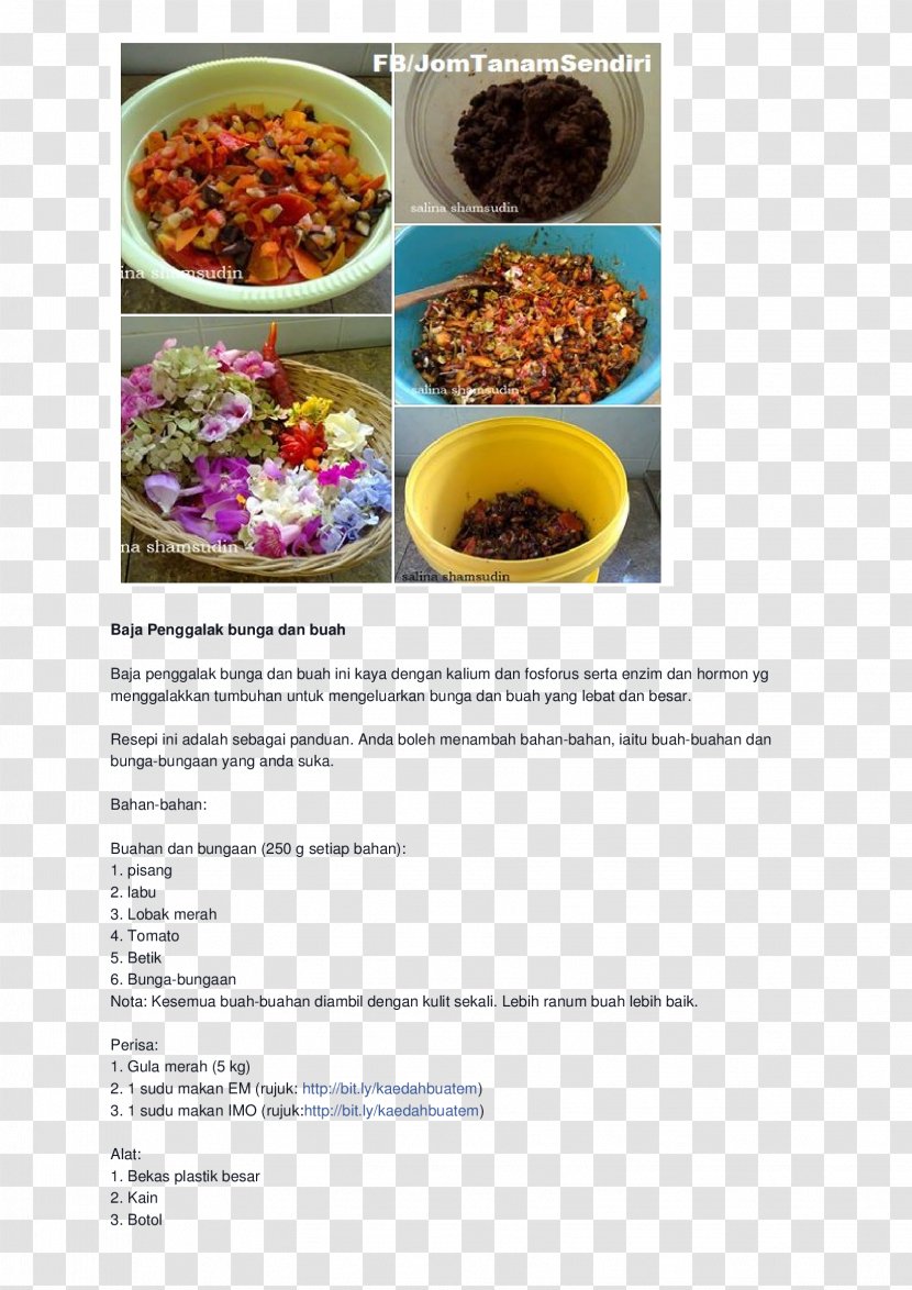 Fertilisers Organic Fertilizer Vegetarian Cuisine Superfood - Food Transparent PNG