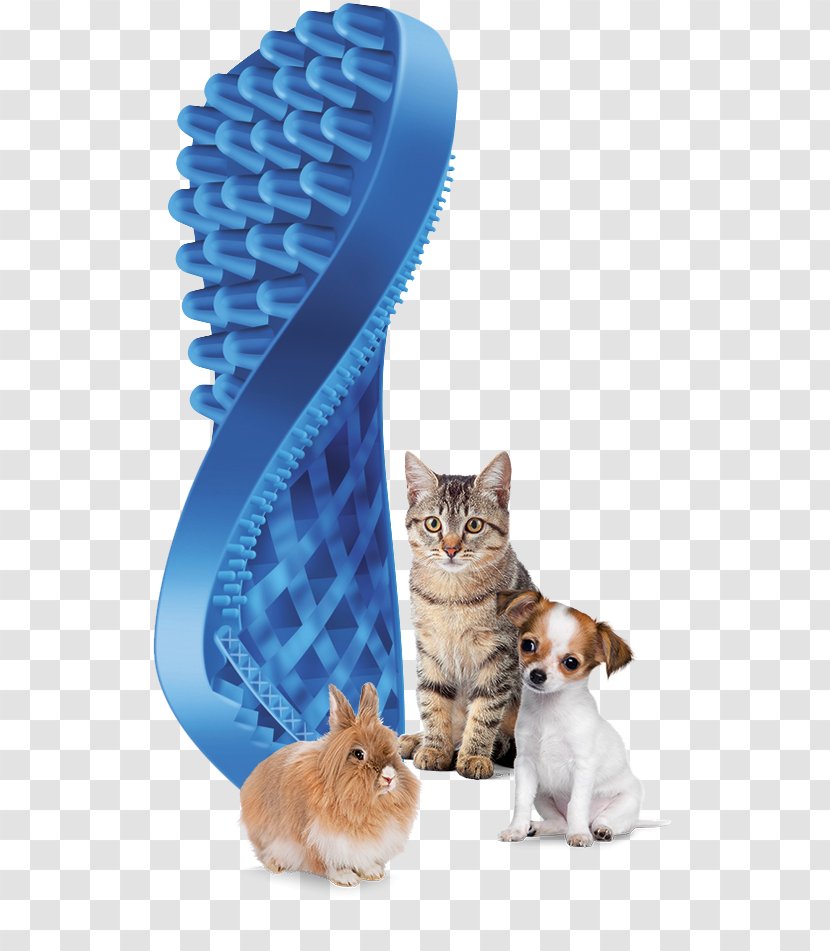 Cat Comb Dog Hairbrush - Pet Transparent PNG